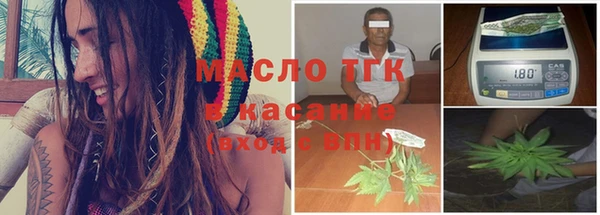ешки Бородино
