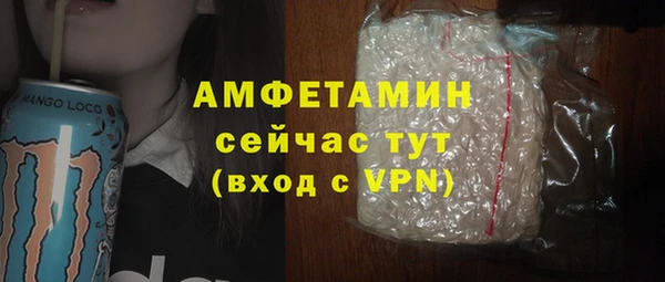 ешки Бородино