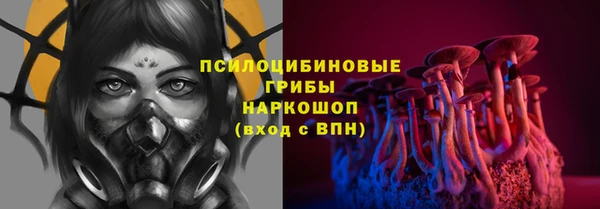 ешки Бородино