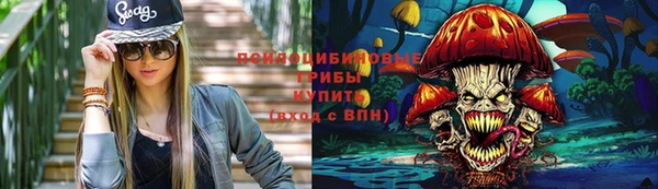 ешки Бородино