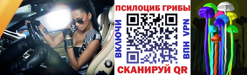 Псилоцибиновые грибы мицелий  купить наркотик  Трёхгорный 